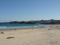 DSC01708.JPG