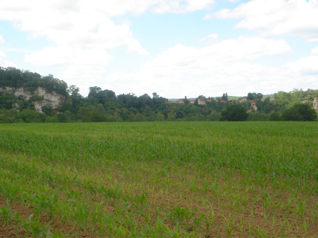 DSC00951.JPG