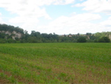 DSC00951.JPG