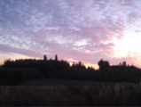 DSC00989.JPG